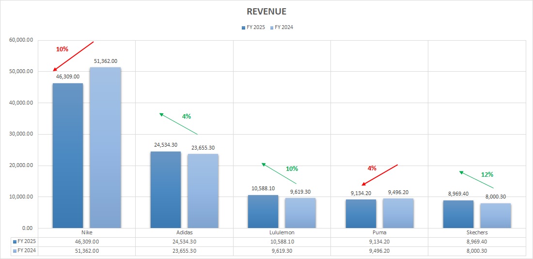 10 Red Flags in Nike Latest Annual Financial Statements